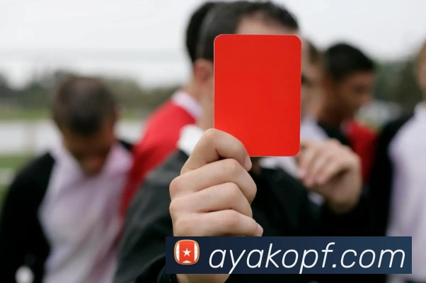 App 展示图