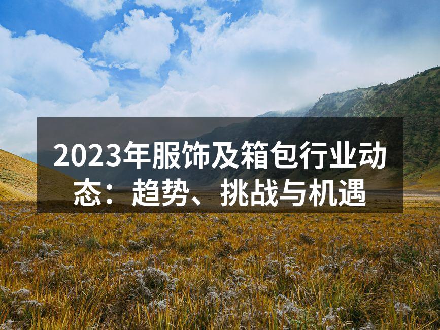 2023年服饰行业趋势分析